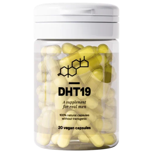 DHT19